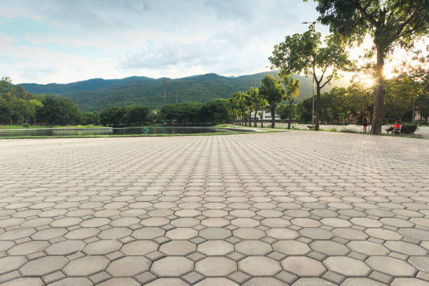 Best Permeable Paver Driveway  in Nevada, TX