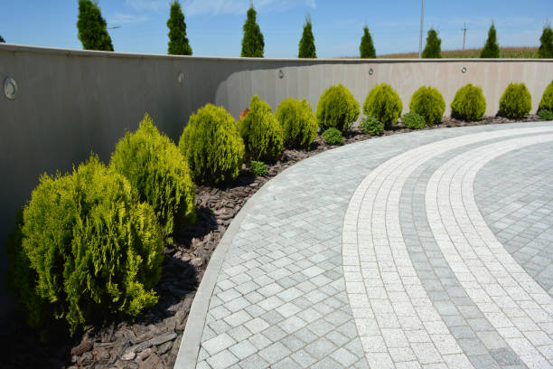 Reasons to Select Us for Your Driveway Paving Requirements in Nevada, TX